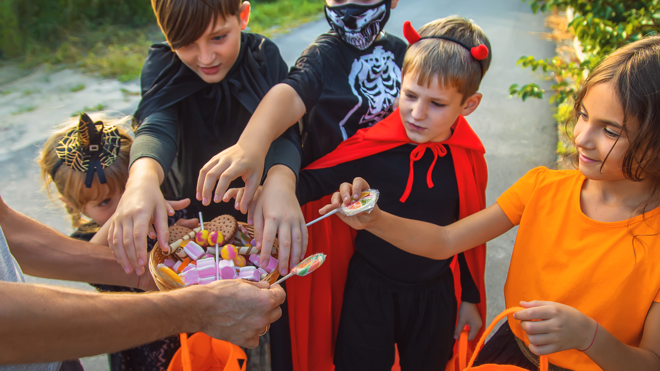 The Candy-Sorting Trick: Turning Post-Halloween Chaos into Connection ...